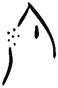 Image of the occurrence